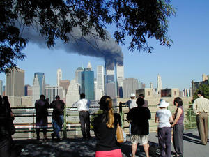 WTC 24