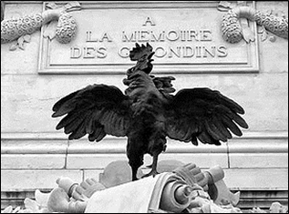 http://upload.wikimedia.org/wikipedia/commons/thumb/6/65/Coq_gaulois.jpg/300px-Coq_gaulois.jpg